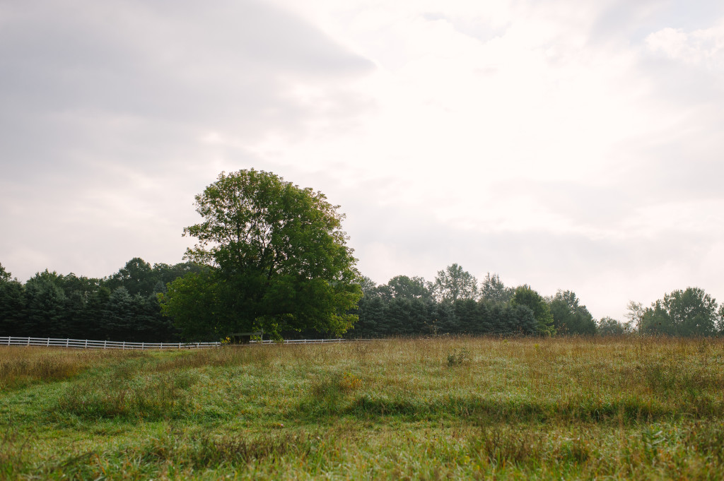 Countryside wedding venue | The Day's Design | Jenn Anibal Photography