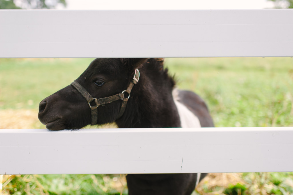 Bloom the Workshop | Barn Weddings | The Day's Design