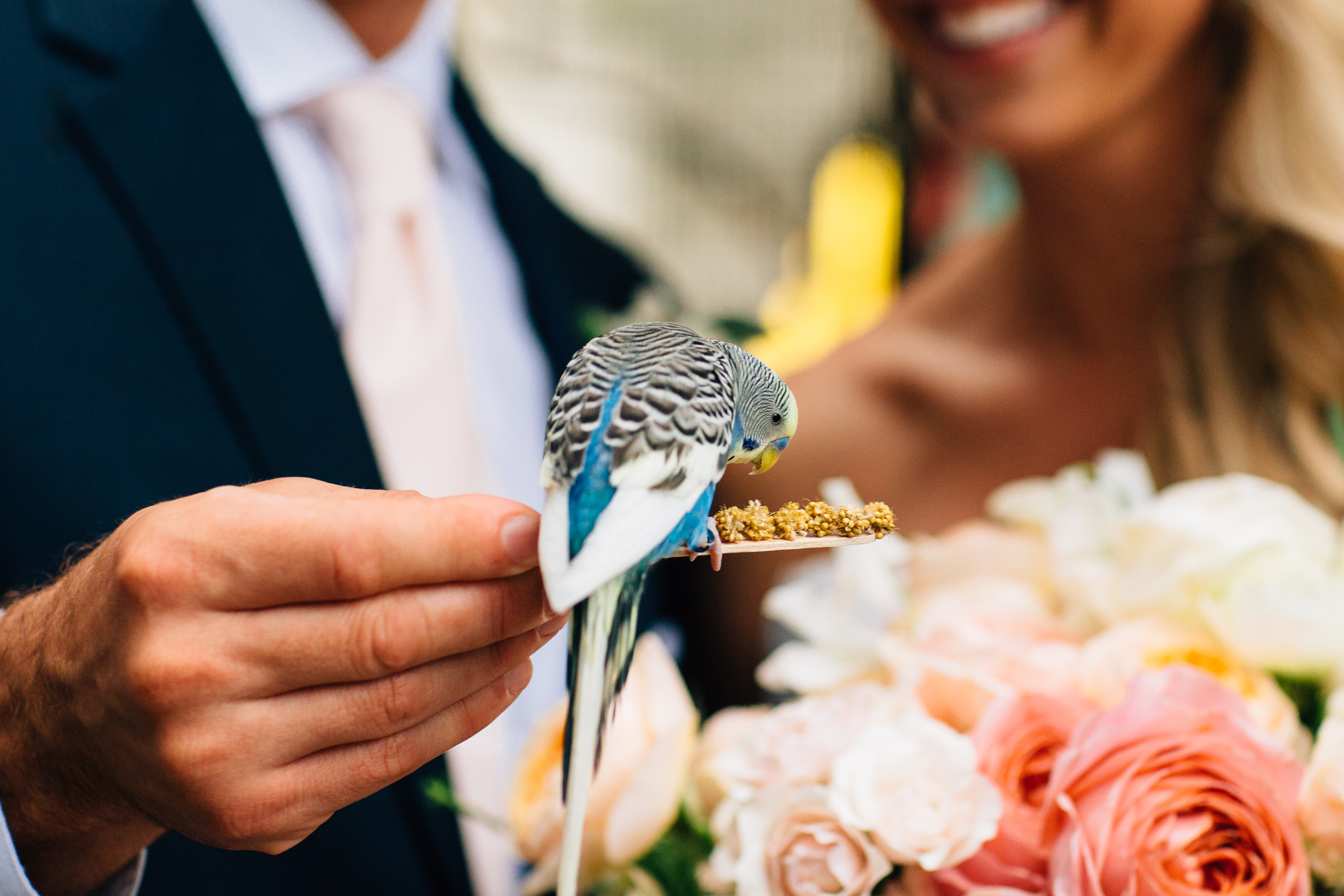 Zoo Wedding | The Day's Design | Jamie and Sarah Photography