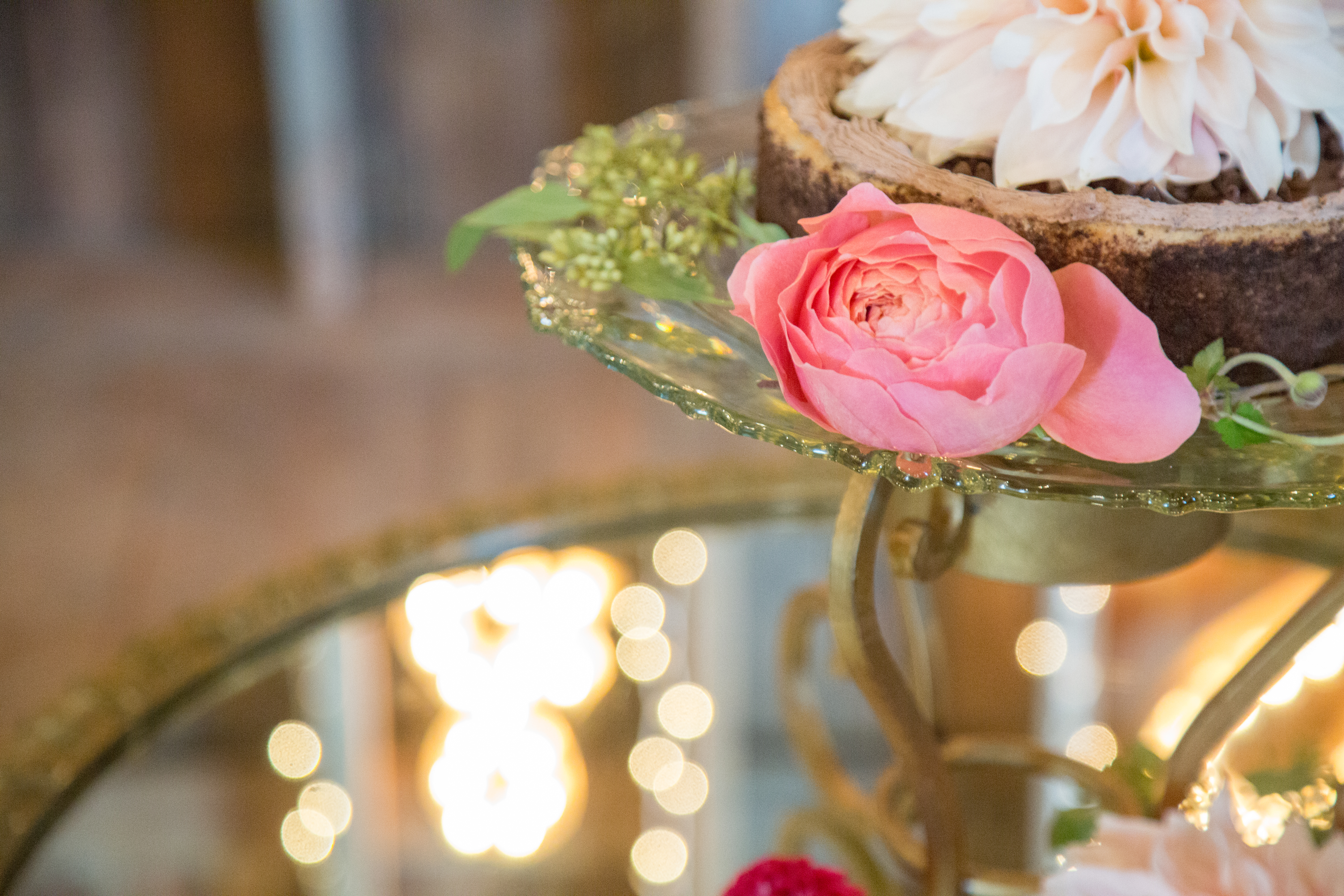 Romantic Antike Garden Rose | The Day's Design | Hetler Photography