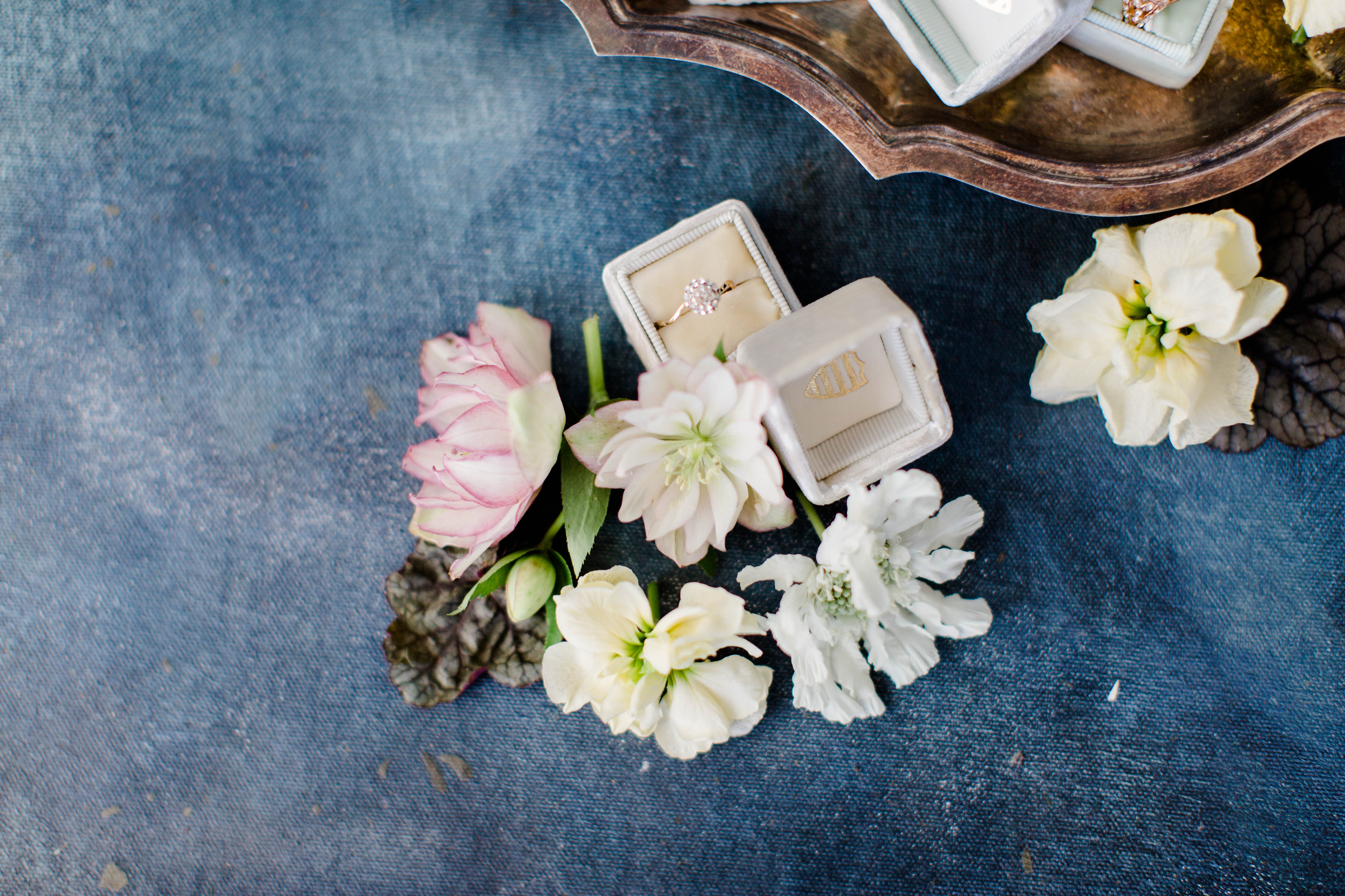 The Mrs Box | The Day's Design | Ashley Slater Photography