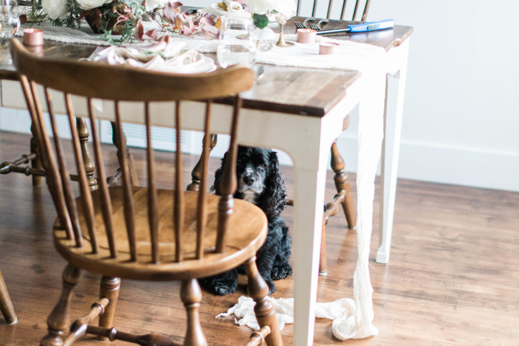 Behind the Scenes of a Work from Home Mom | The Day's Design