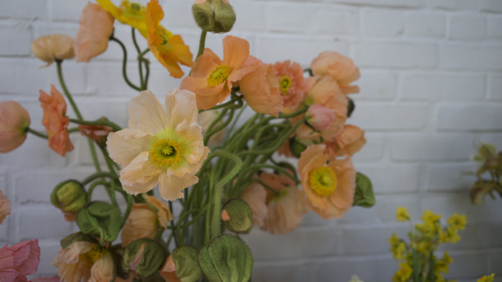 LIttle Flower School Brooklyn | The Day's Design