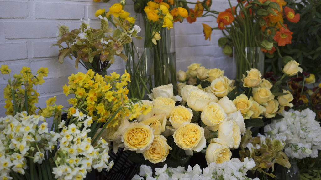 LIttle Flower School Brooklyn | The Day's Design