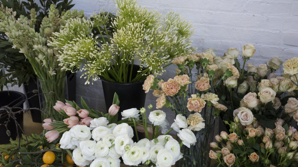 LIttle Flower School Brooklyn | The Day's Design