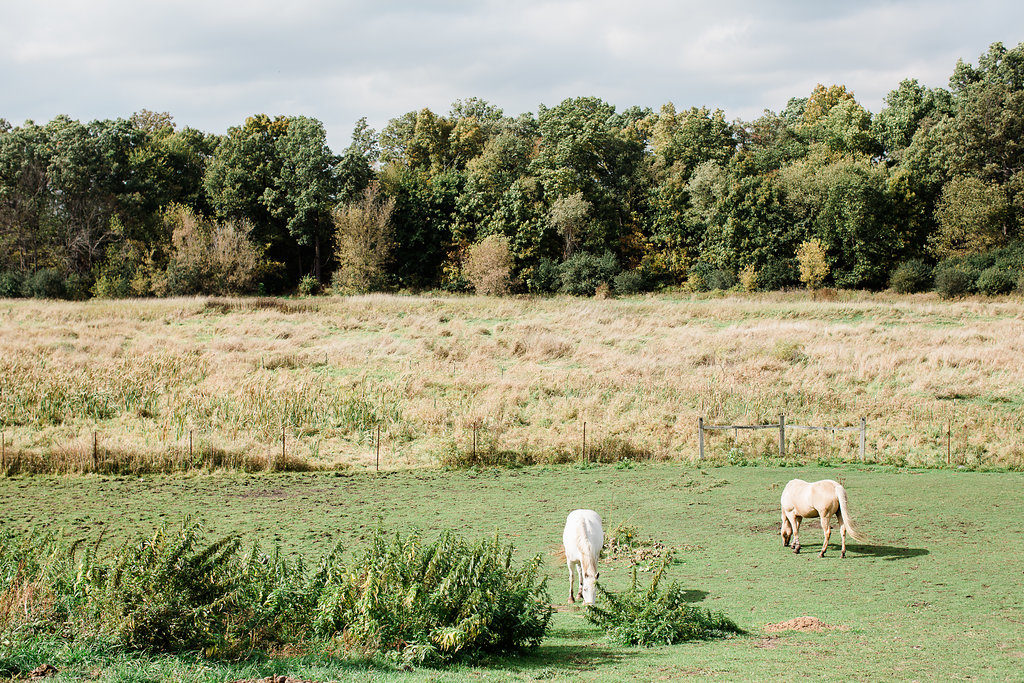 Mistry Farms Ann Arbor | The Day's Design | Ashley Slater Photography