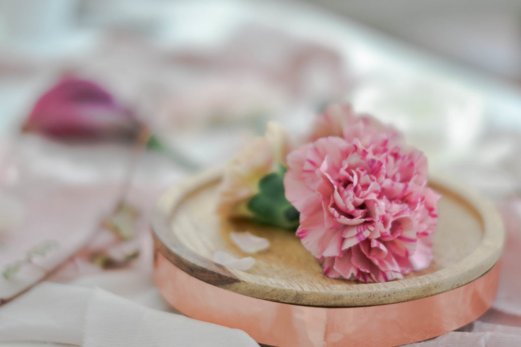 January Birth Flower | Carnations | The Day's Design