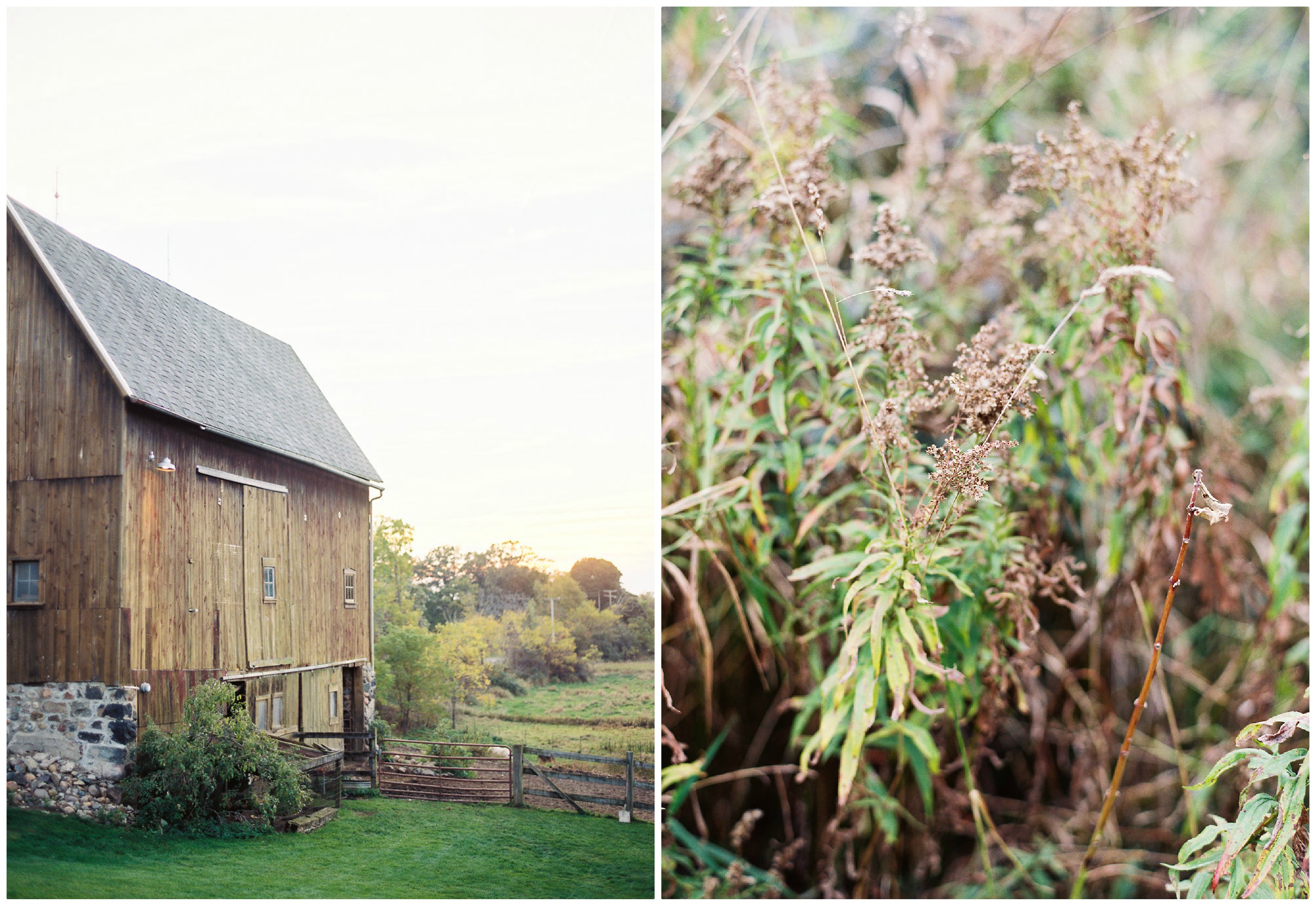 Ann Arbor Wedding | The Day's Design | Ashley Slater Photography