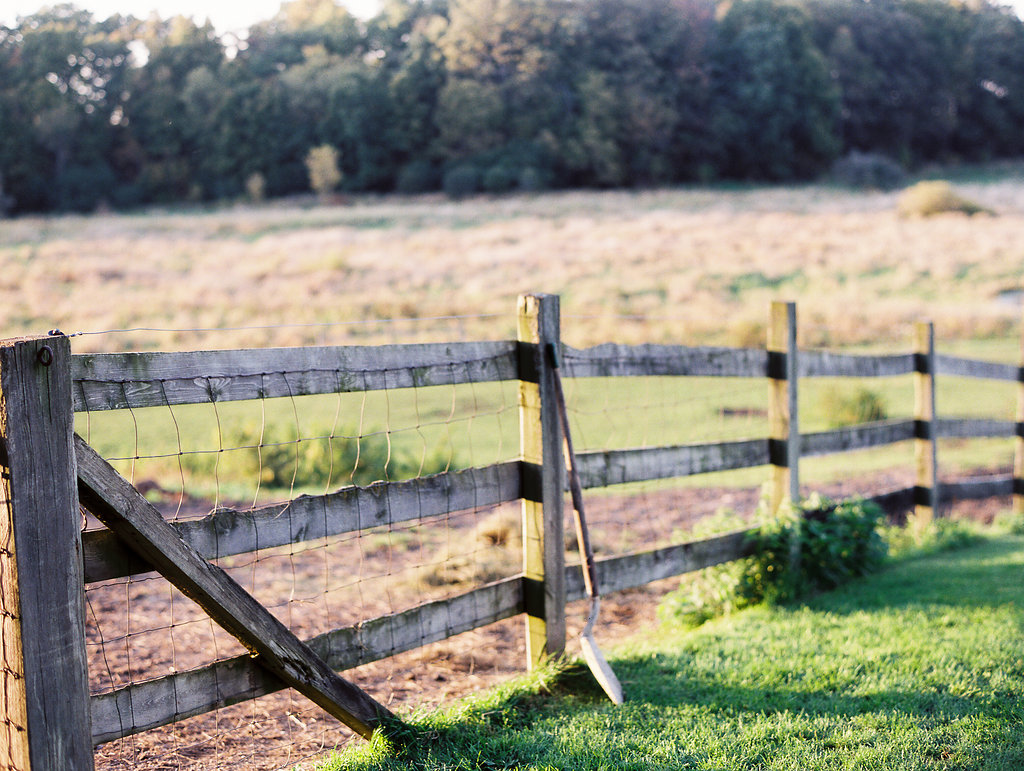 Fall Wedding | The Day's Design | Ashley Slater Photography