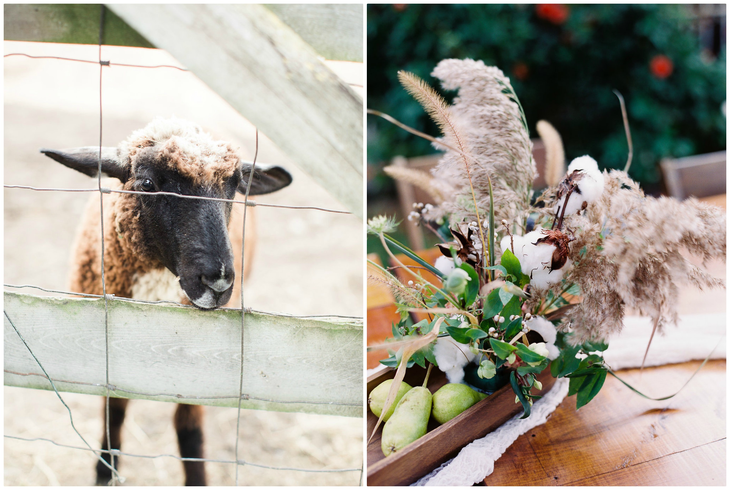 Michigan Barn Wedding | The Day's Design | Ashely Slater Photography