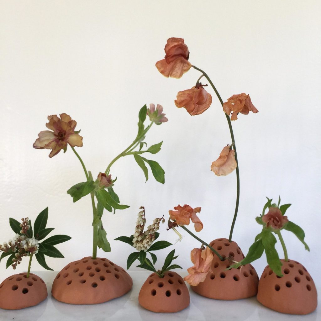 Rico Terra | terra+cotta+frog