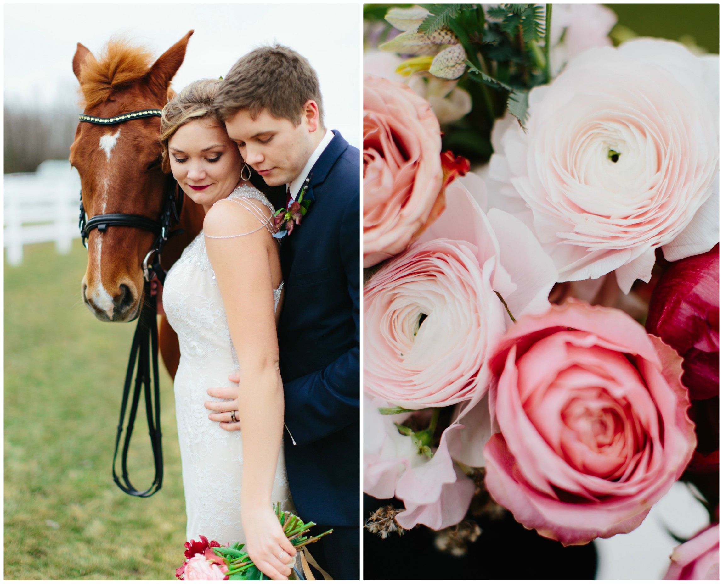 Romantic Antike Garden Rose | The Day's Design | Katie Grace Photography