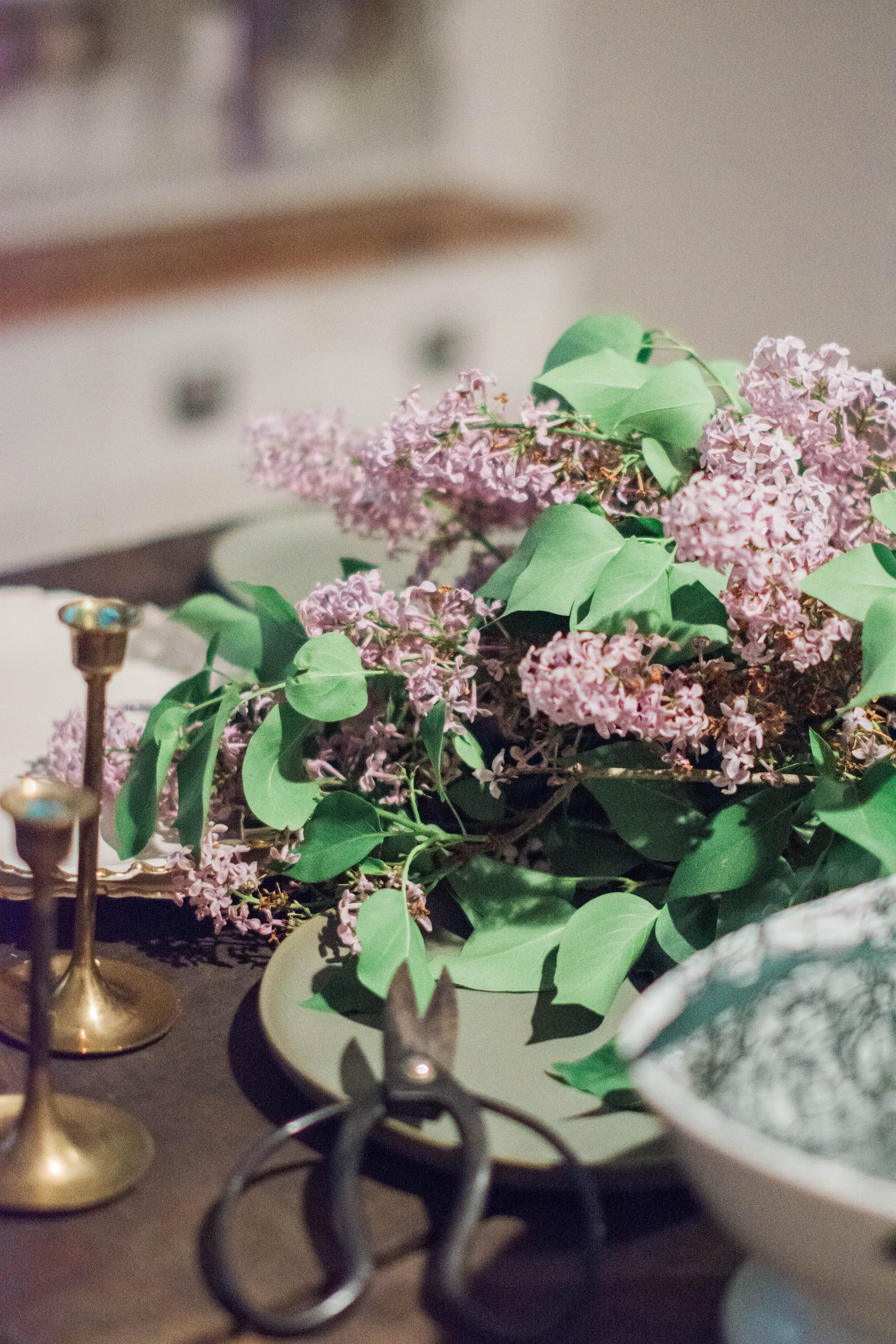 Lilac Bushes | Big Rapids Michigan | Townline Journal