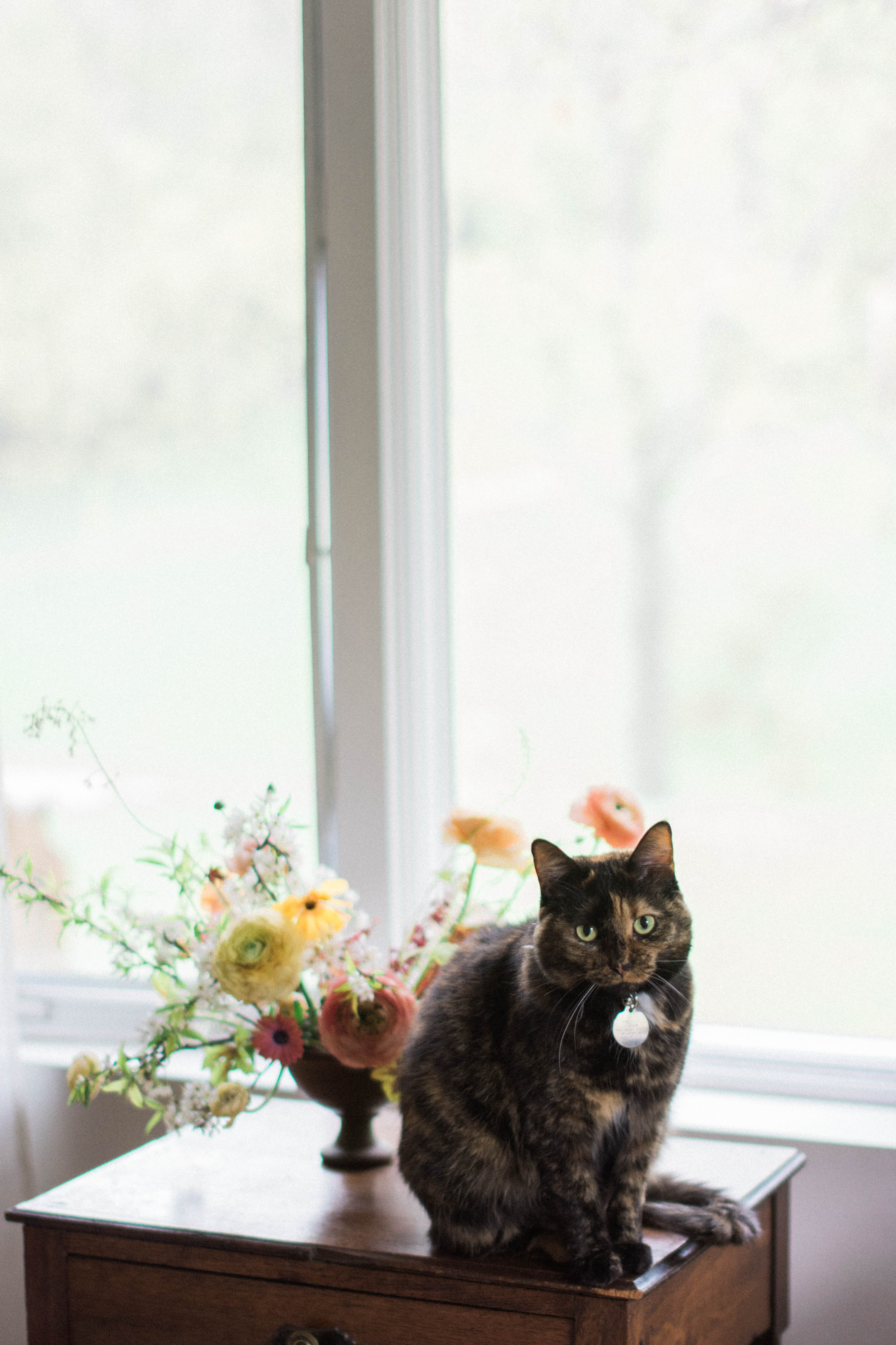 Ranunculus Centerpiece | TownLine Journal