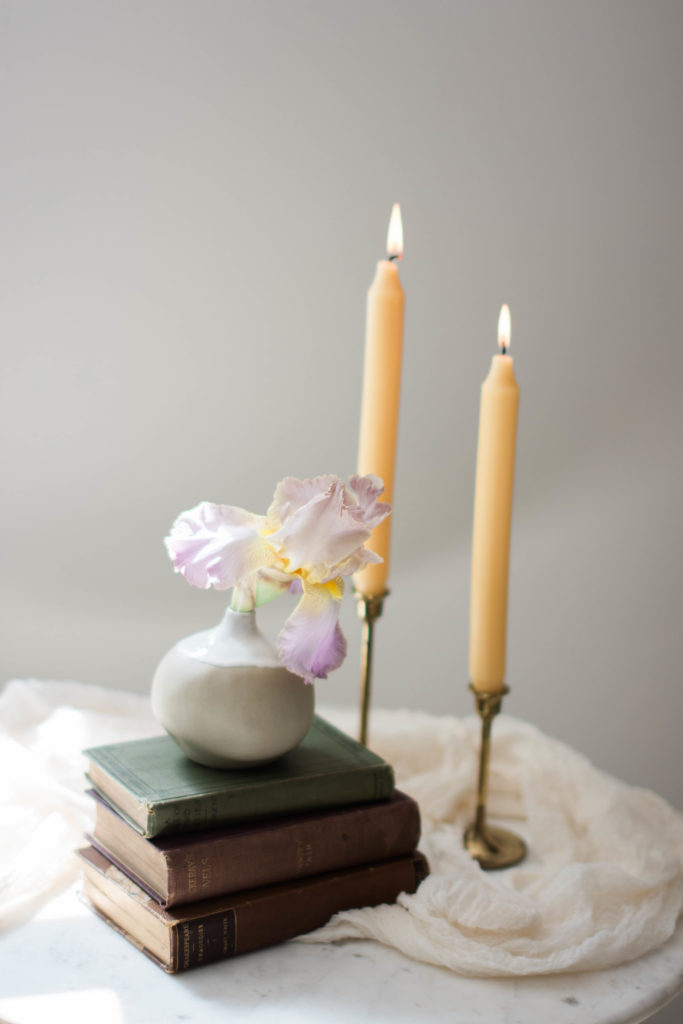 Purple and Yellow iris | TownLine Journal