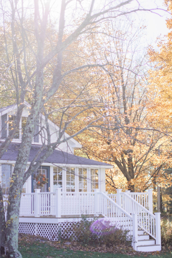 Tunnel of Trees | Harbor Springs, Mi