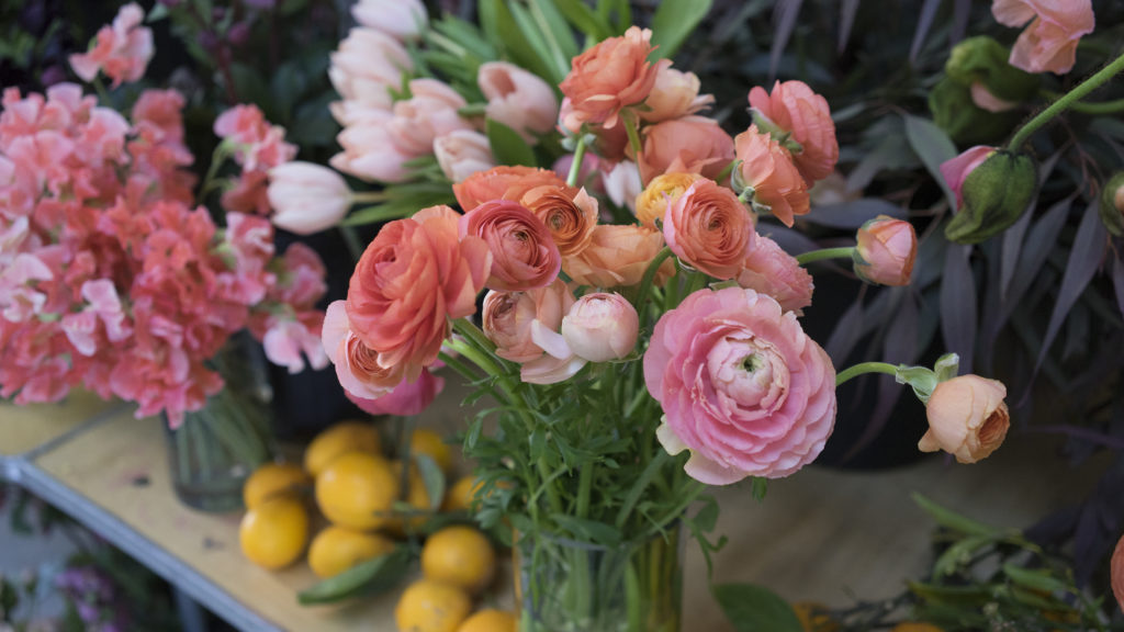 Coral Ranunculus | TownLine Journal