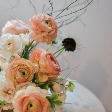 Living Coral | The Day's Design | TownLine Journal