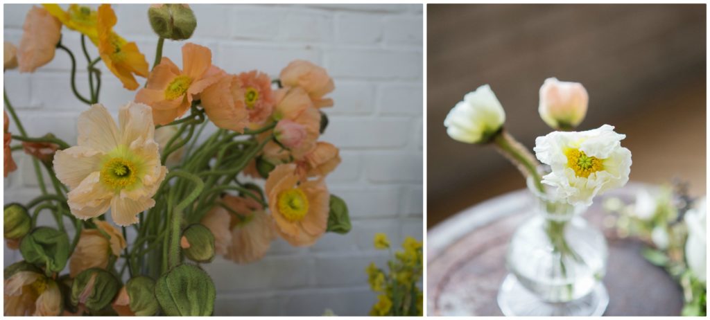 Peach Poppies | TownLine Journal