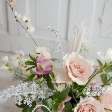 5 of the best flowers for the month of Janaury