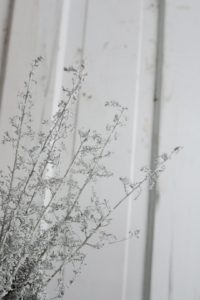 silver wedding flowers for january