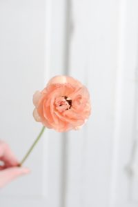 best February wedding flowers